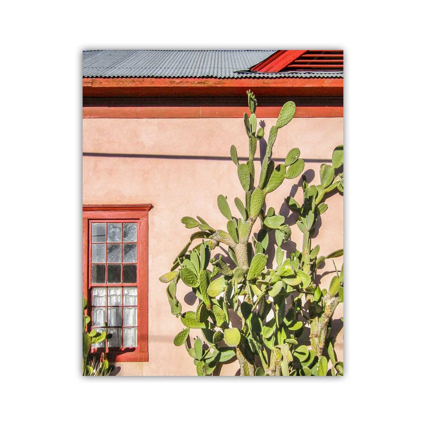 Tucson Barrio Cactus Wall Art | Old Pueblo Adobe Southwest Decor Print