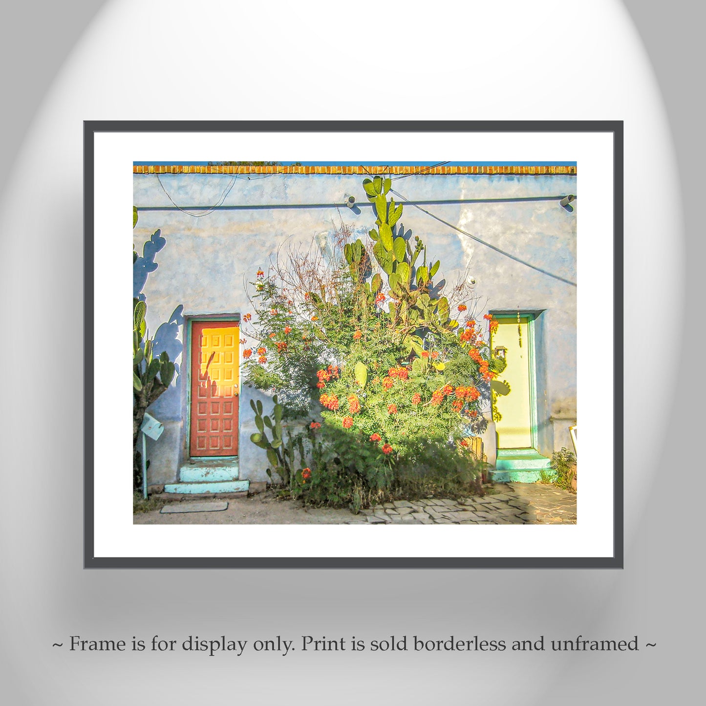 Old Tucson Adobe Architecture Art Print – Southwestern Style Wall Décor | Vintage Arizona Urban Home Décor Gift with Desert Wildflowers