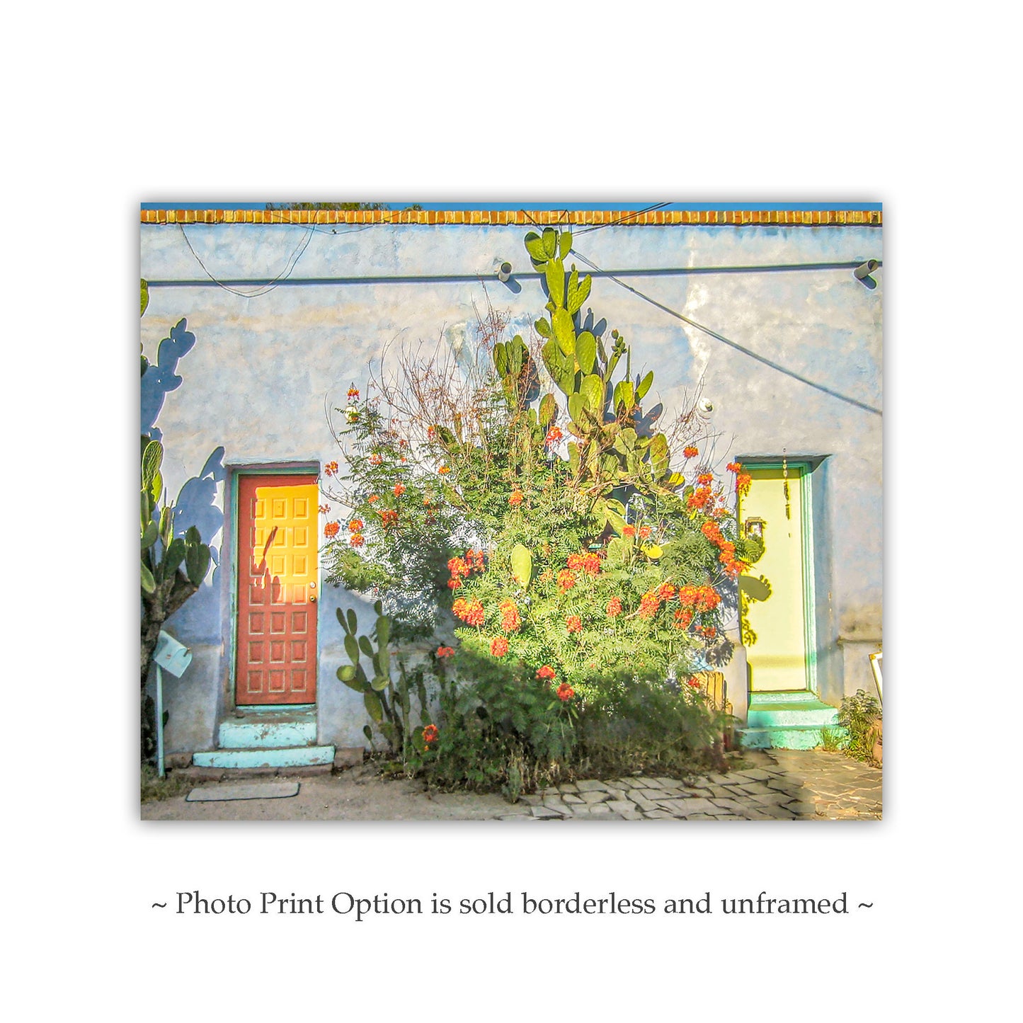 Old Tucson Adobe Architecture Art Print – Southwestern Style Wall Décor | Vintage Arizona Urban Home Décor Gift with Desert Wildflowers