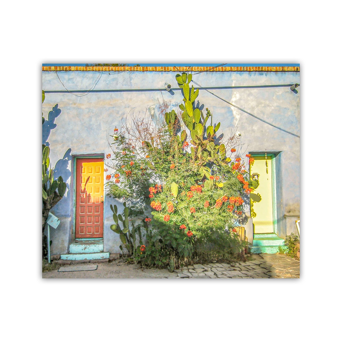 Old Tucson Adobe Architecture Art Print – Southwestern Style Wall Décor | Vintage Arizona Urban Home Décor Gift with Desert Wildflowers