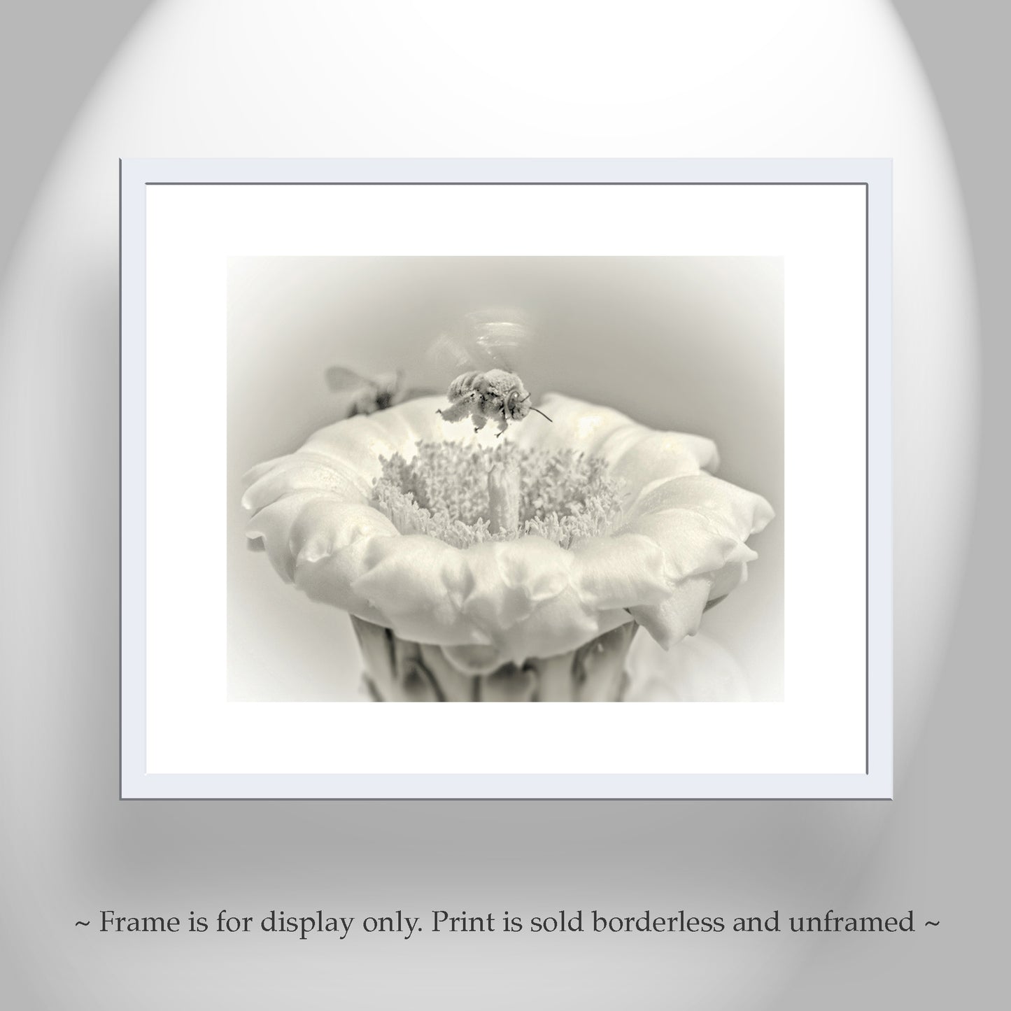 Cactus Flower and Bumble Bee Nature Art in Arizona Desert
