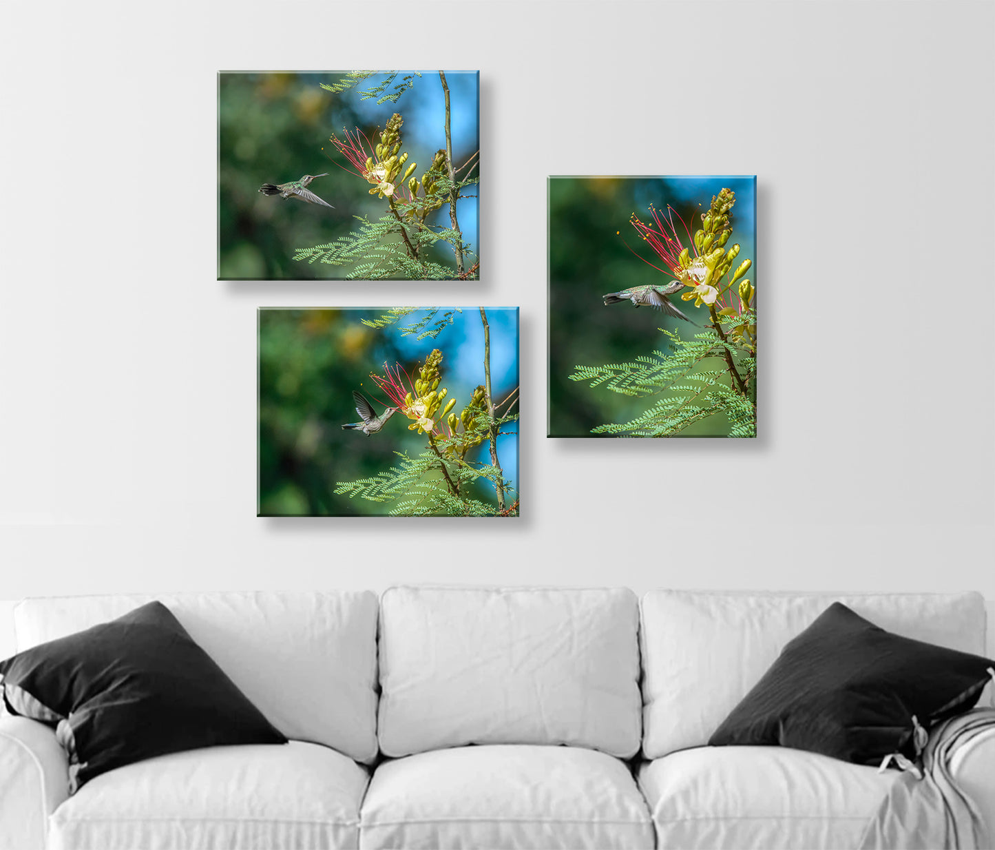 Flying Hummingbirds Set of 3 Prints Gallery Wall Art Set