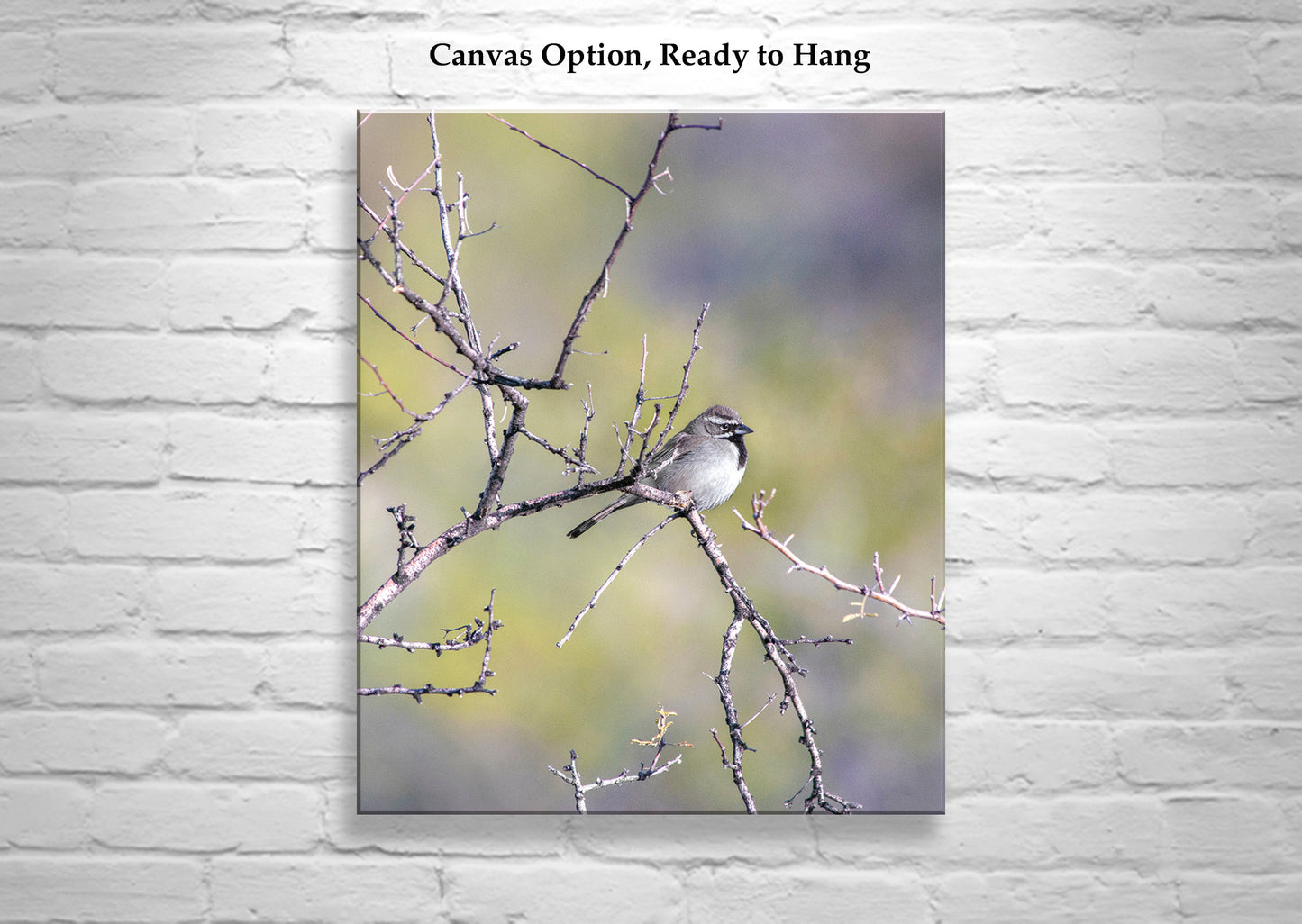 Sparrow Bird Art Elegant Nature Wall Print for Home