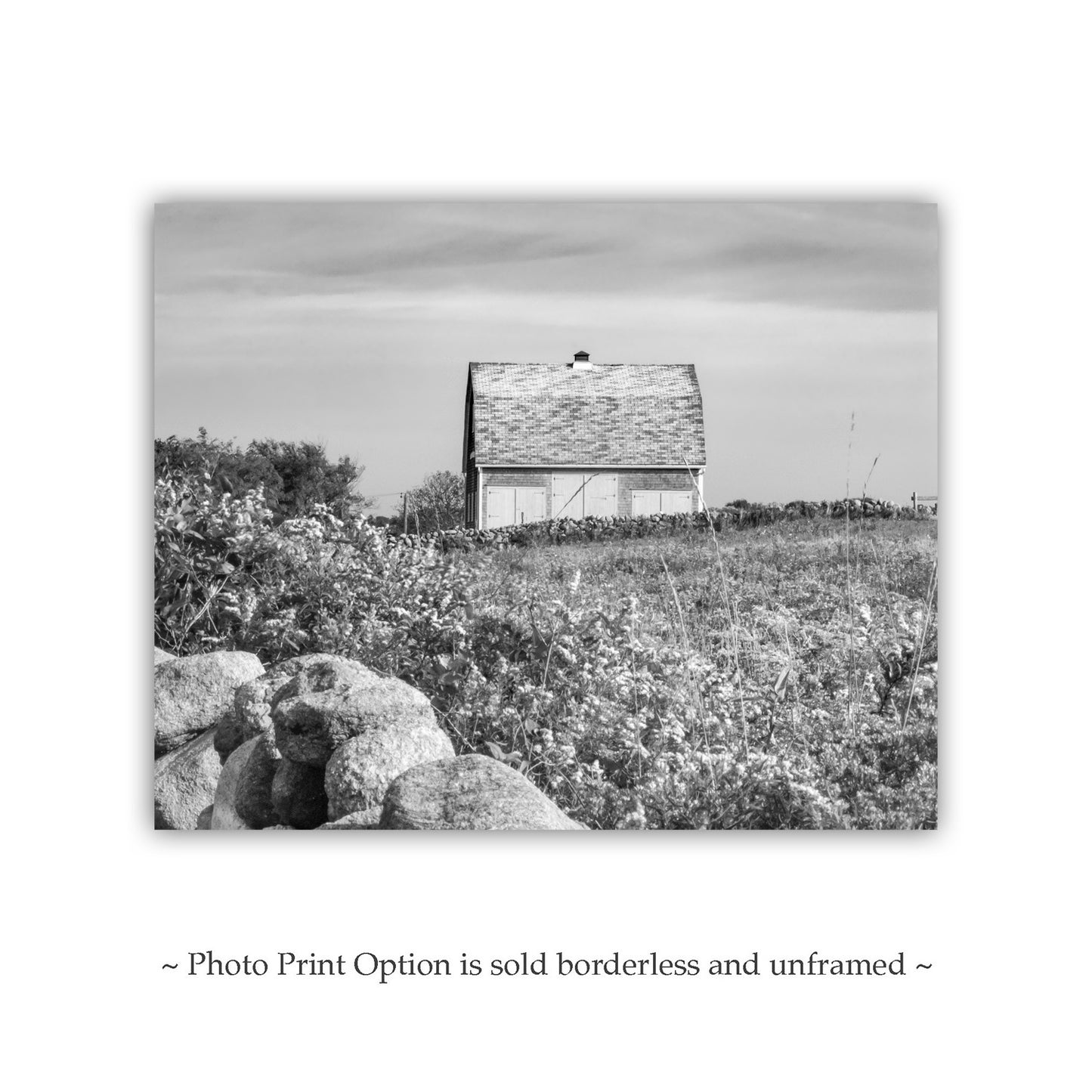 Block Island Rhode Island Black and White Barn Photograph | Farm Wall Decor for Home or Office