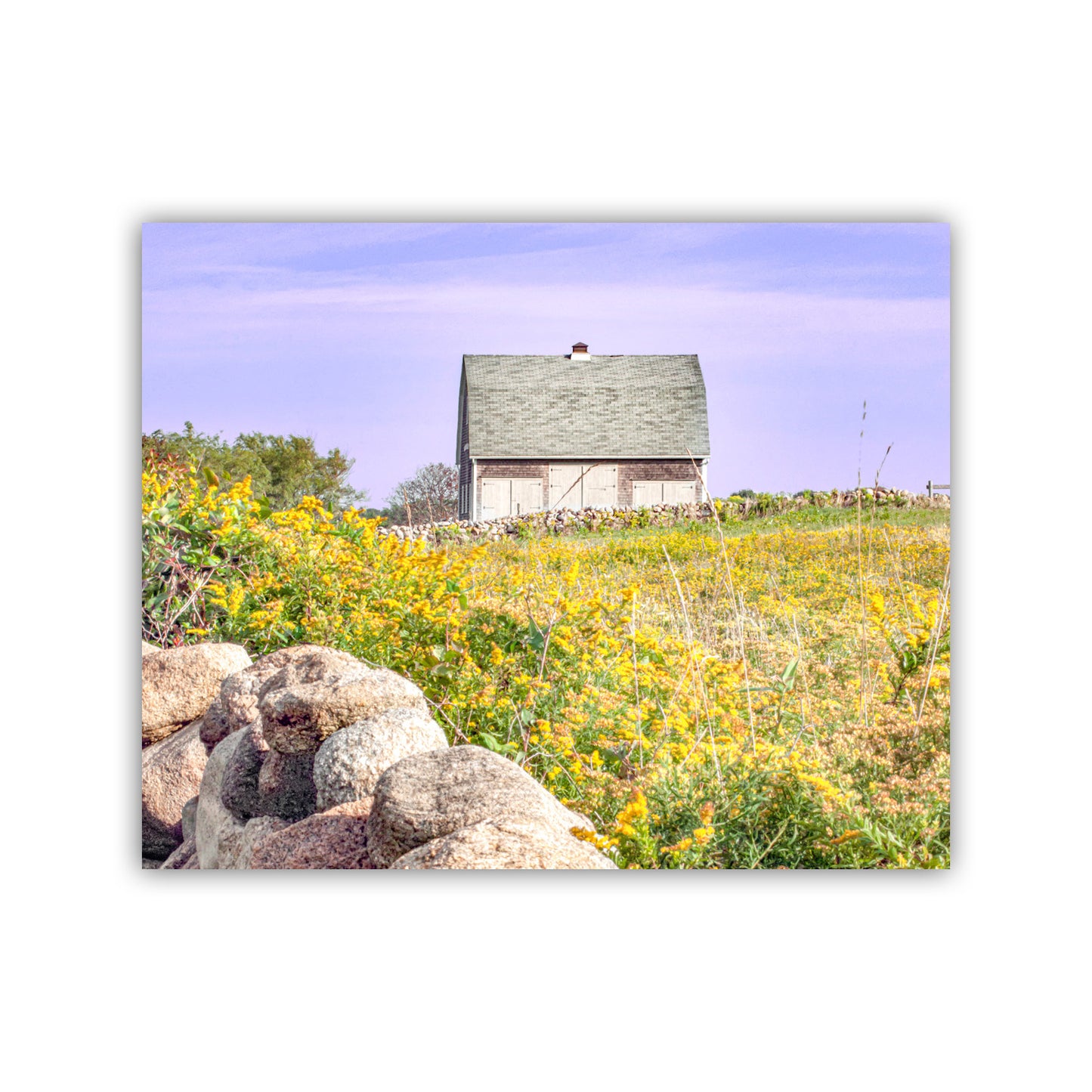 Block Island Rhode Island Barn Photograph | Rustic Farm Wall Art Decor for Home or Office