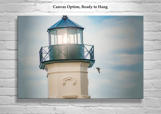 Block Island North Lighthouse Art Print | Seabirds Coastal Decor