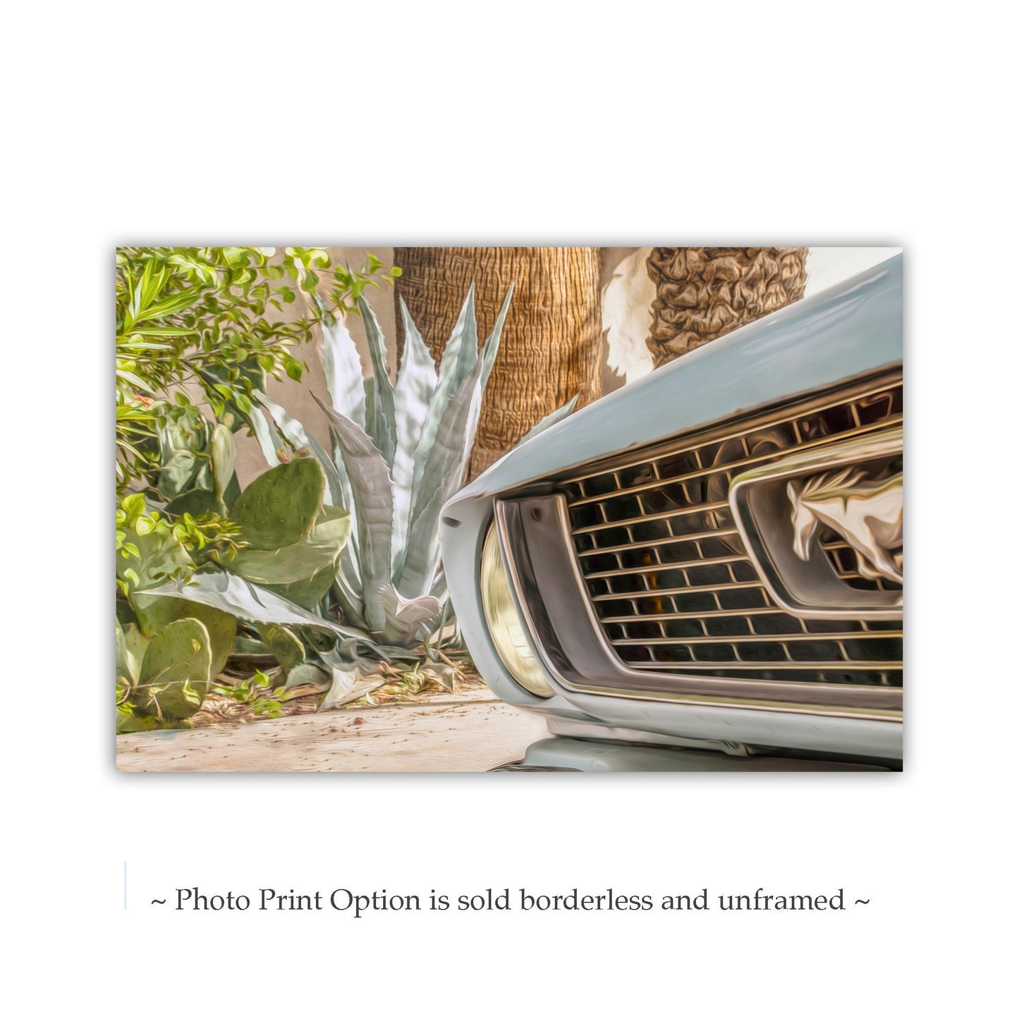 Mustang Photograph | Automotive Art Print with Blue Agave in Tucson Arizona | Southwestern Urban Art