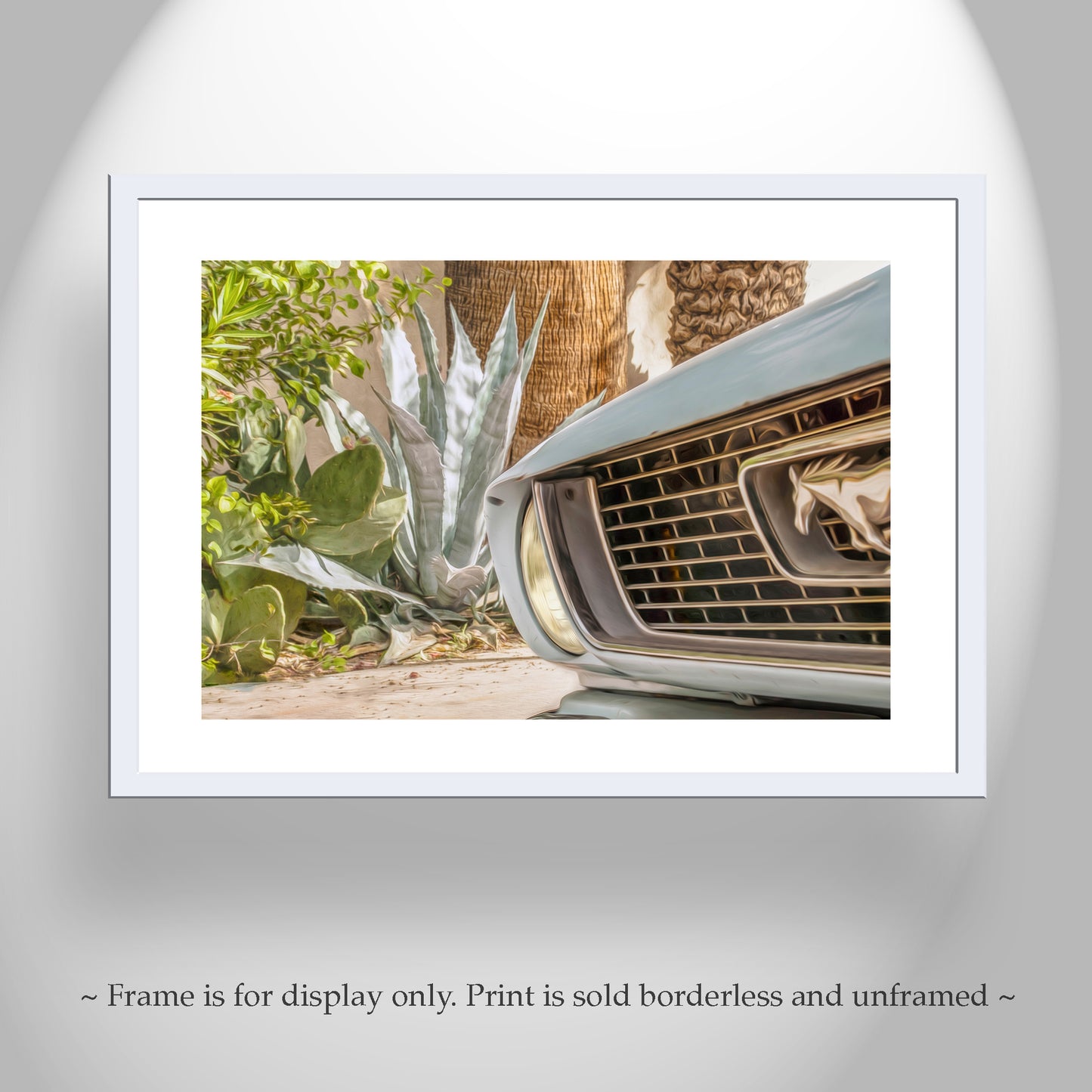 Mustang Photograph | Automotive Art Print with Blue Agave in Tucson Arizona | Southwestern Urban Art
