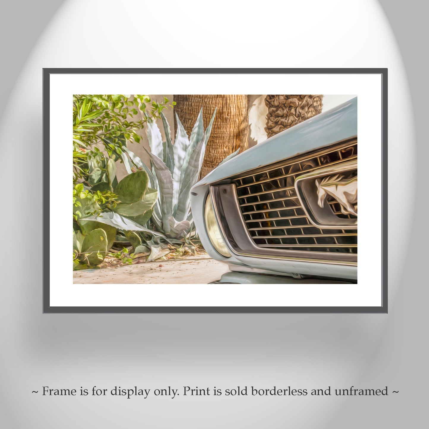 Mustang Photograph | Automotive Art Print with Blue Agave in Tucson Arizona | Southwestern Urban Art