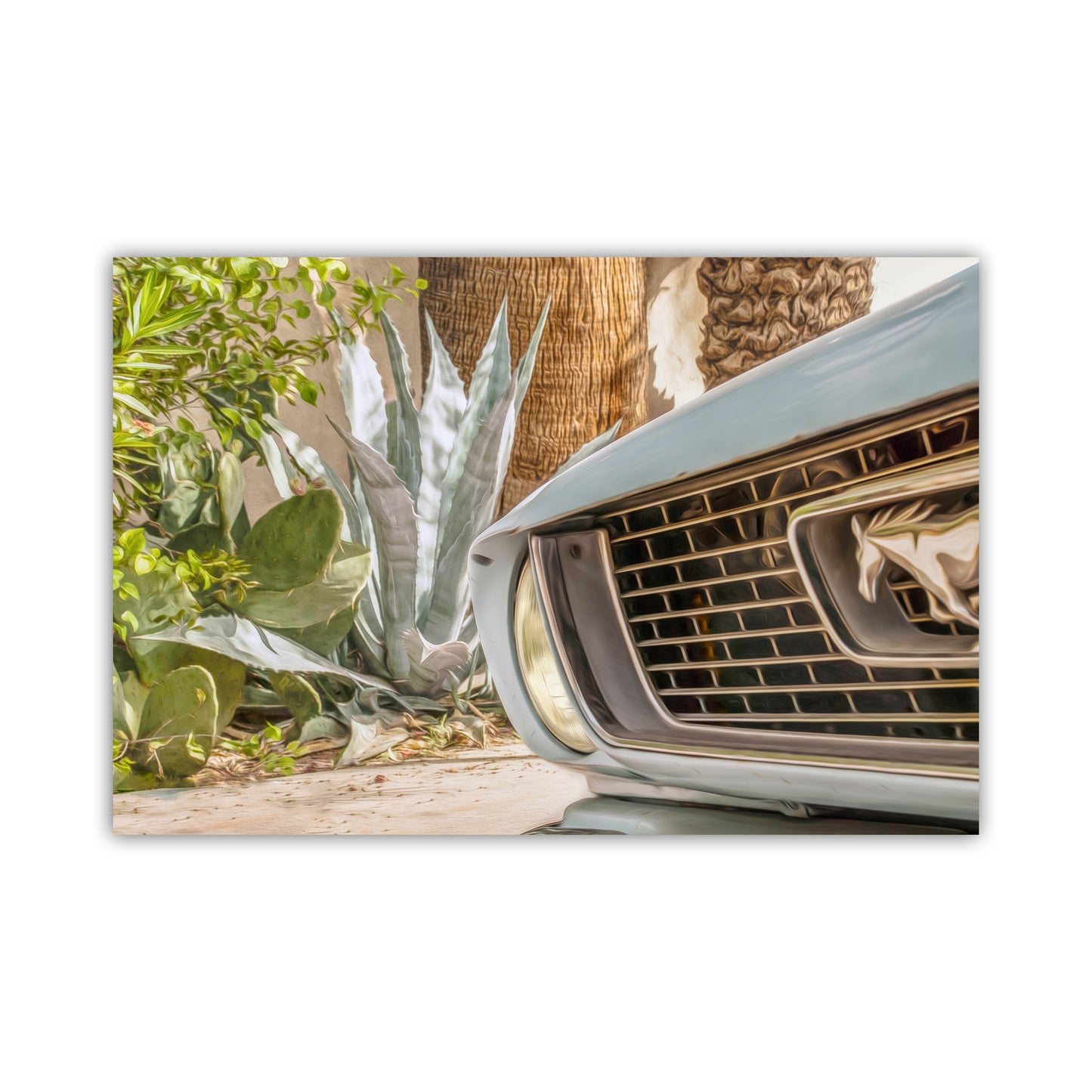 Mustang Photograph | Automotive Art Print with Blue Agave in Tucson Arizona | Southwestern Urban Art