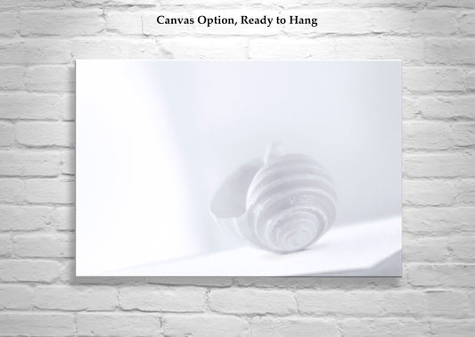 Pastel Seashell Wall Art – Periwinkle Blue & Lavender Minimalist Print