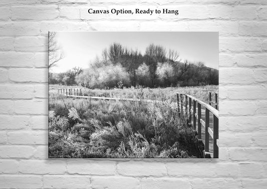 Black & White Fine Art Photo of Winter Frost Wetlands Landscape
