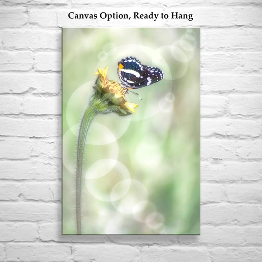A vertical canvas wall art print showing a black and white butterfly perched on a yellow flower against a soft green bokeh background, displayed on a white brick wall with the text 'Canvas Option, Ready to Hang' above it.