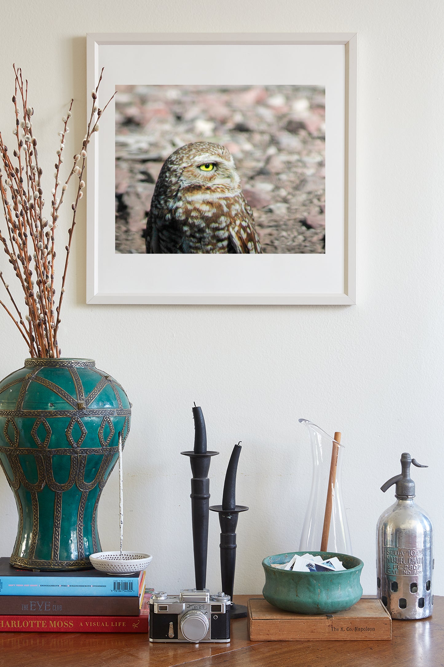 Burrowing Owl Bird Artwork in Southwestern USA Desert