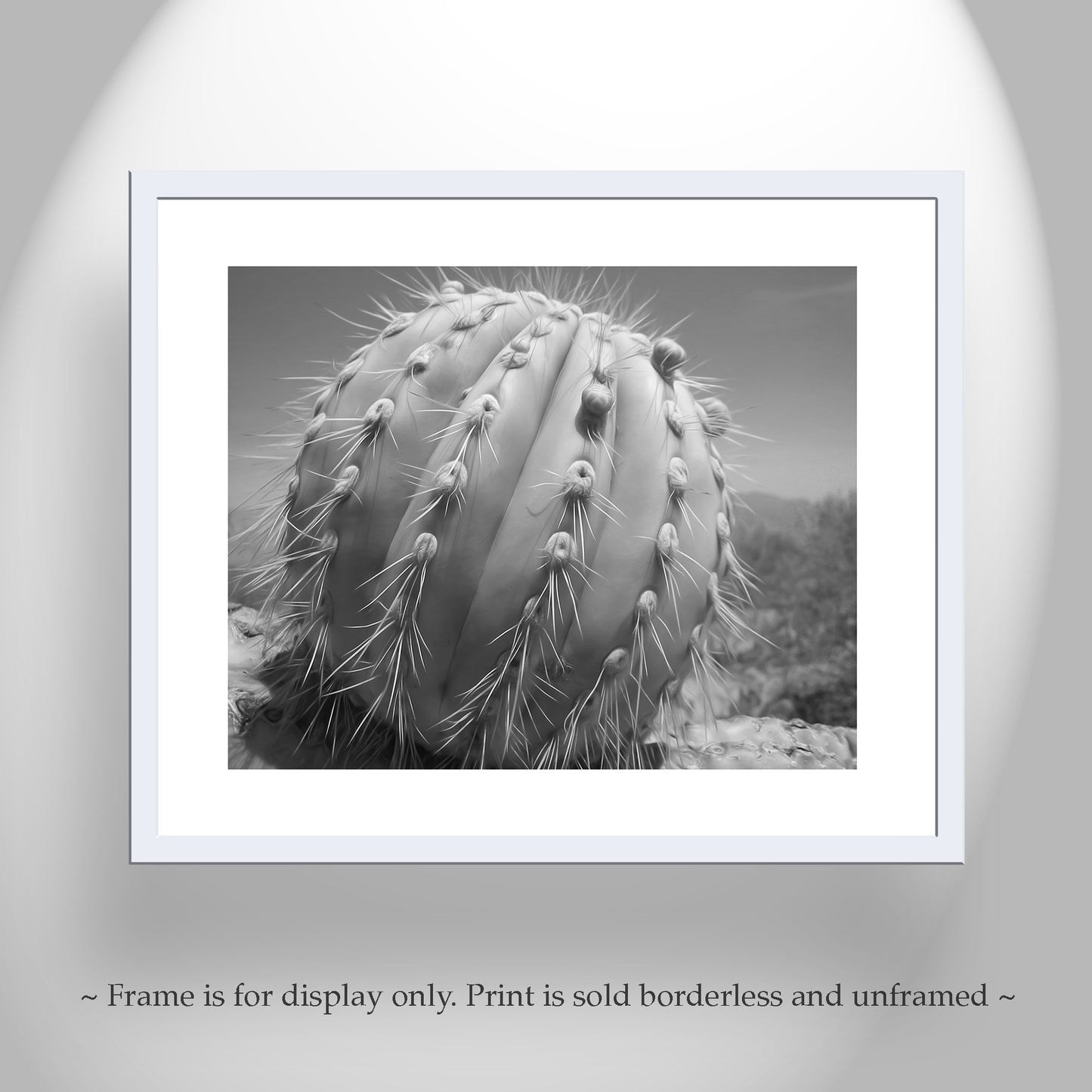 Southwestern Wall Art with Unique Desert Cactus in Black and White