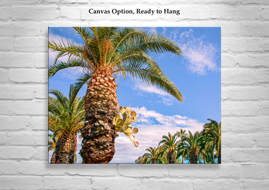 Southwestern Wall Decor with Arizona Desert Cactus and Palm Tree