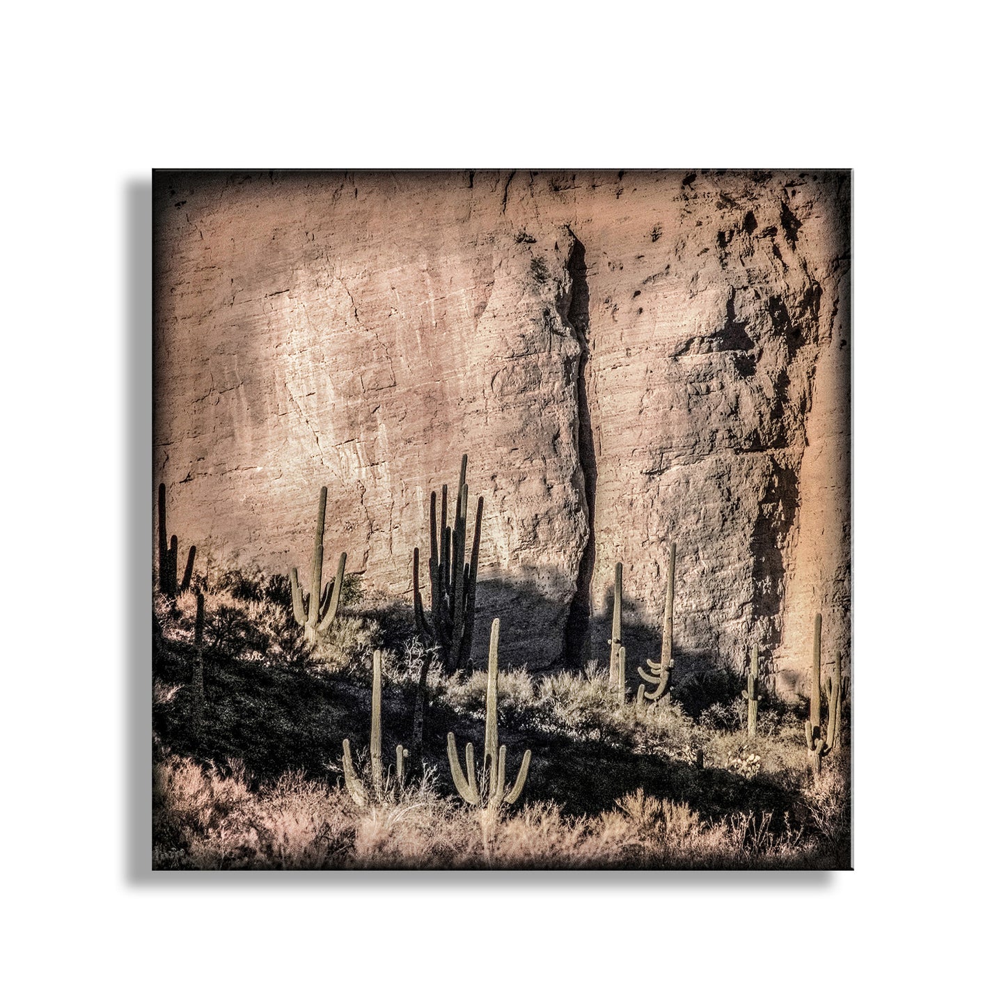 Desert Canyon and Cactus Landscape Art in Tucson Arizona for Sale