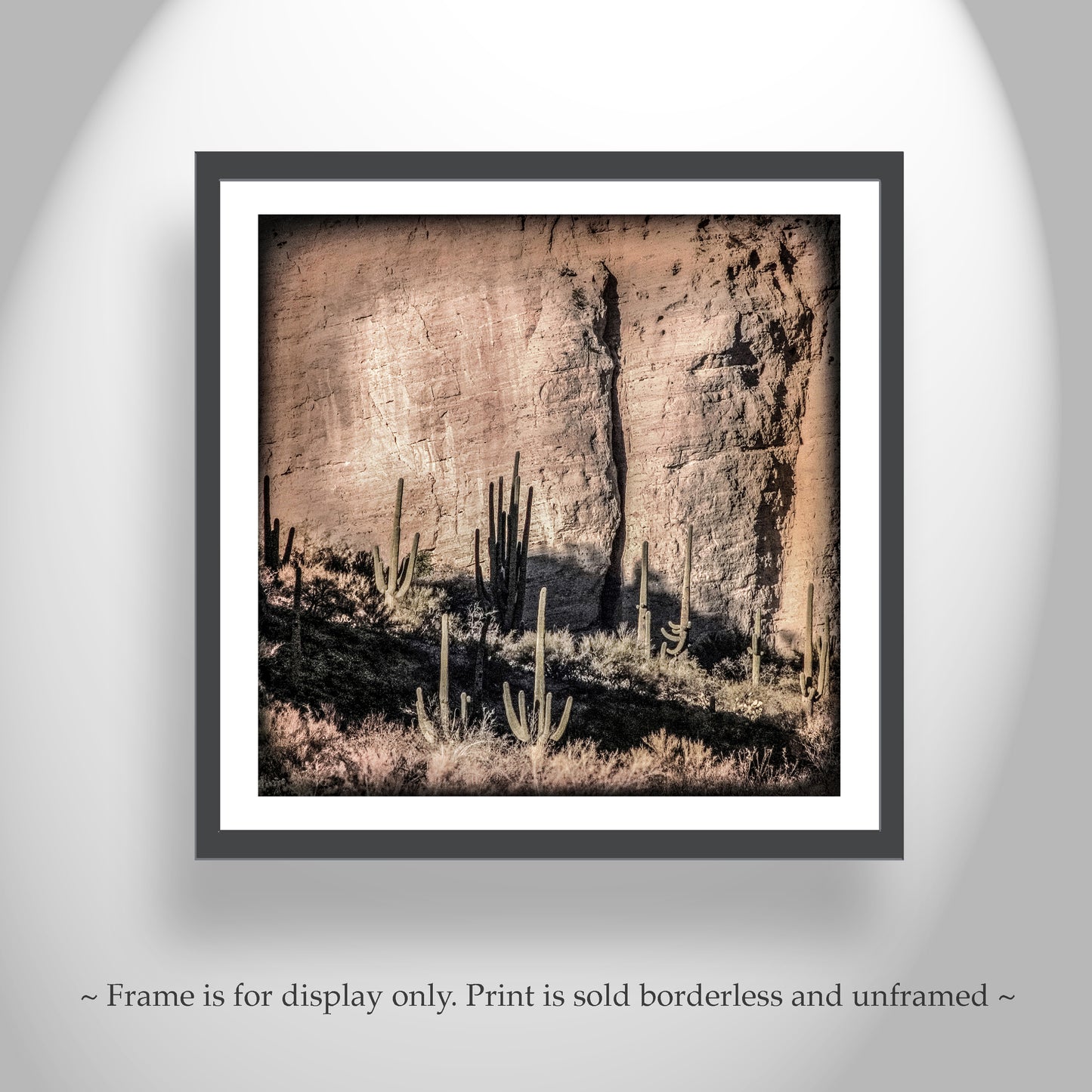 Desert Canyon and Cactus Landscape Art in Tucson Arizona for Sale