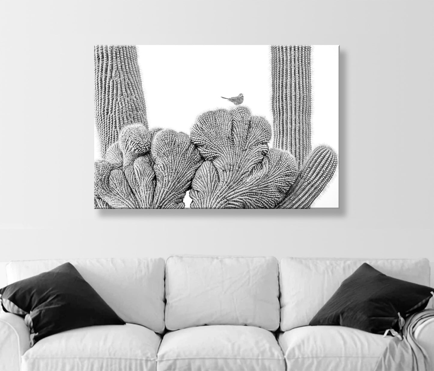 Cactus Wren Bird Photograph with Crested Saguaro in Black and White