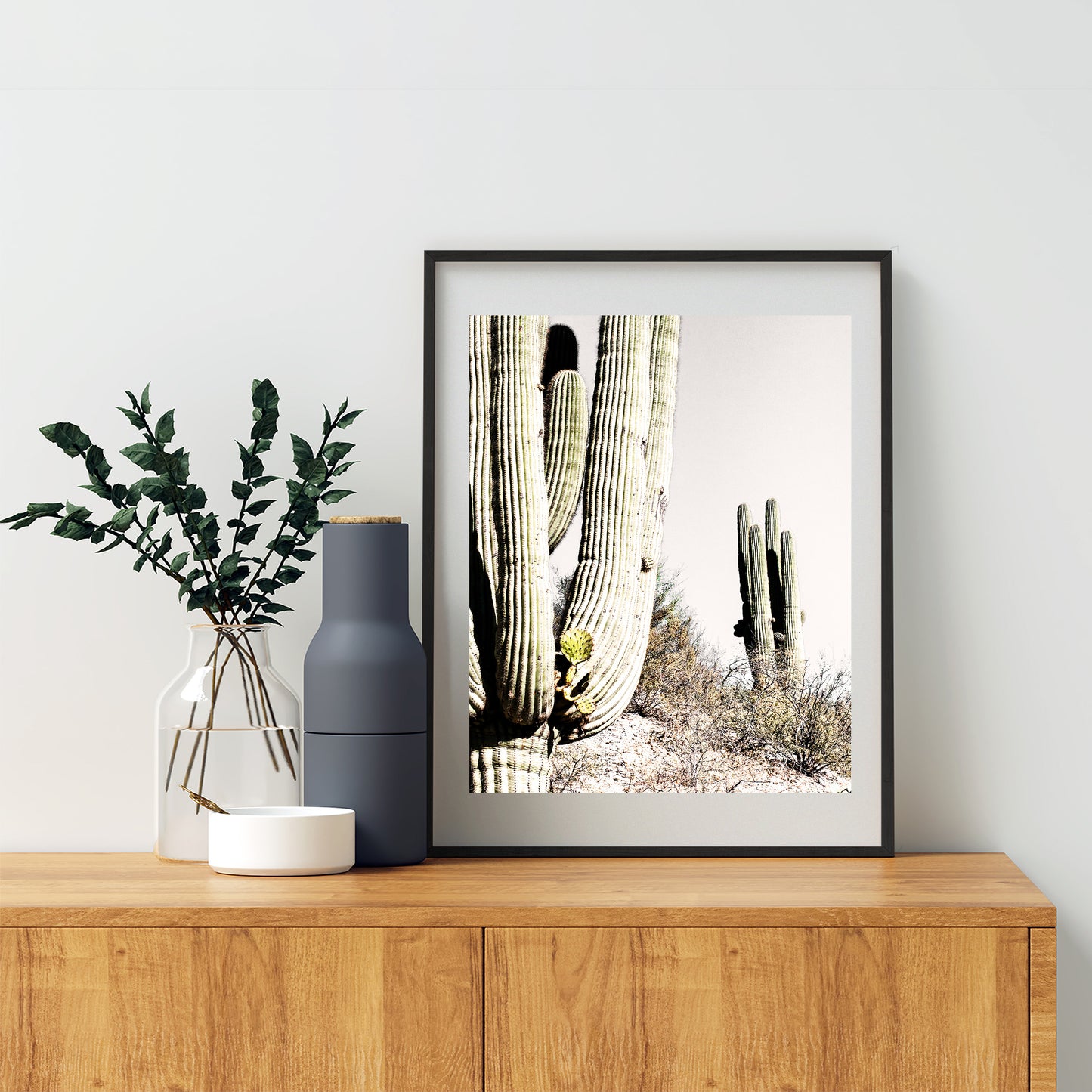 Prickly Pear Cactus Growing from Desert Saguaro in Arizona Desert
