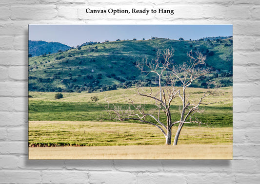 Canelo Hills Arizona Landscape Art at Mexico Border | Minimalist Bucolic Art Print