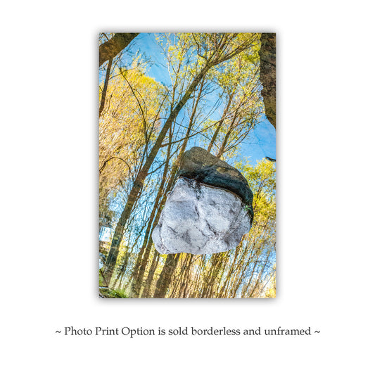 Abstract Creek Water Nature Art Print | Arizona Wilderness Photography