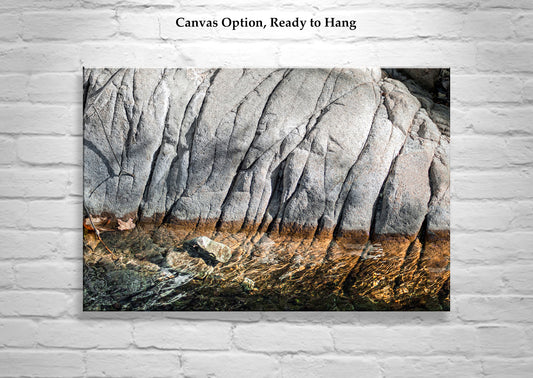 Santa Rita Mountains Stream at Madera Canyon AZ Nature Art