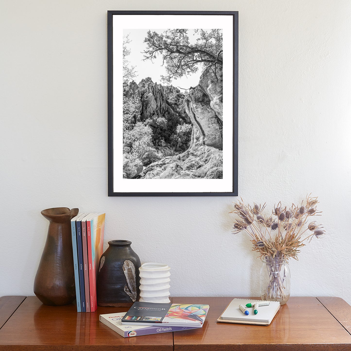 Mexico Border Arizona Wilderness Canyon Landscape Art Print