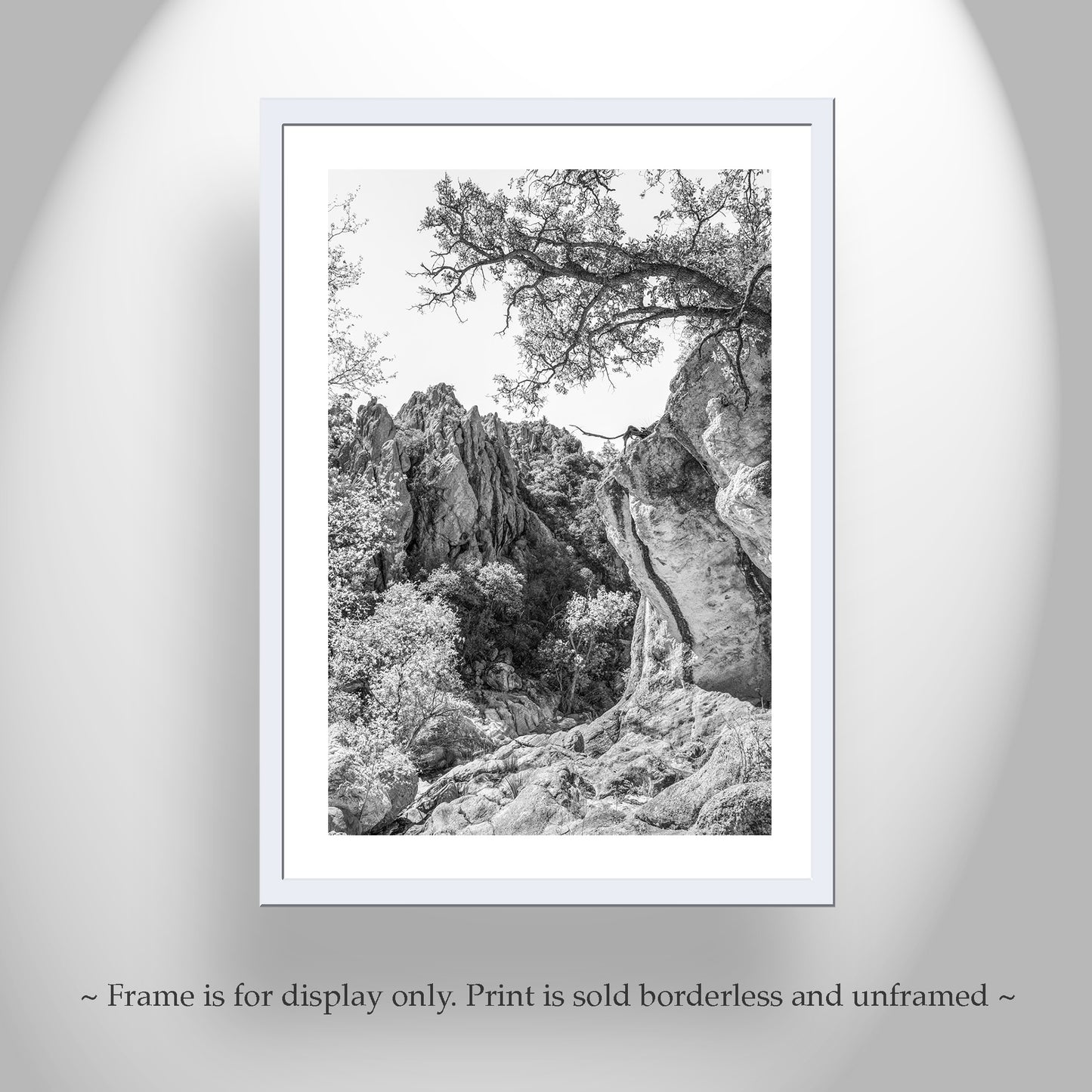 Mexico Border Arizona Wilderness Canyon Landscape Art Print