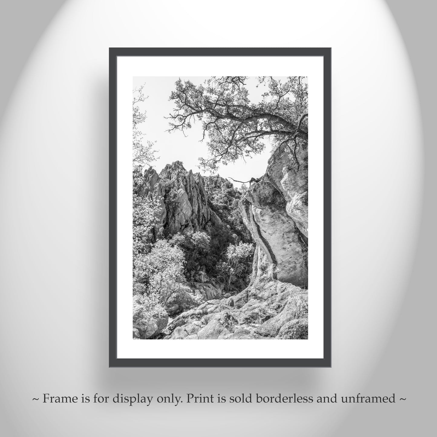 Mexico Border Arizona Wilderness Canyon Landscape Art Print