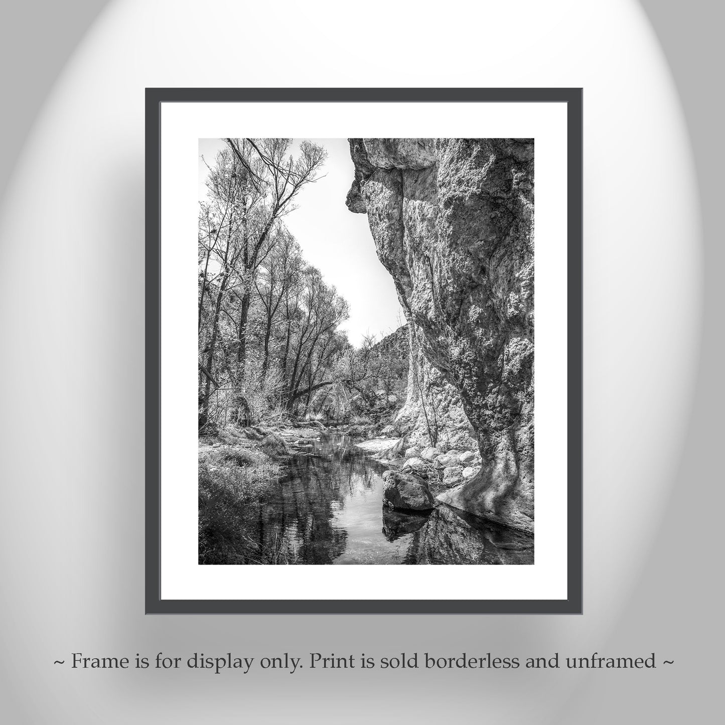 Western Canyon Creek Desert Oasis Black and White Art Print