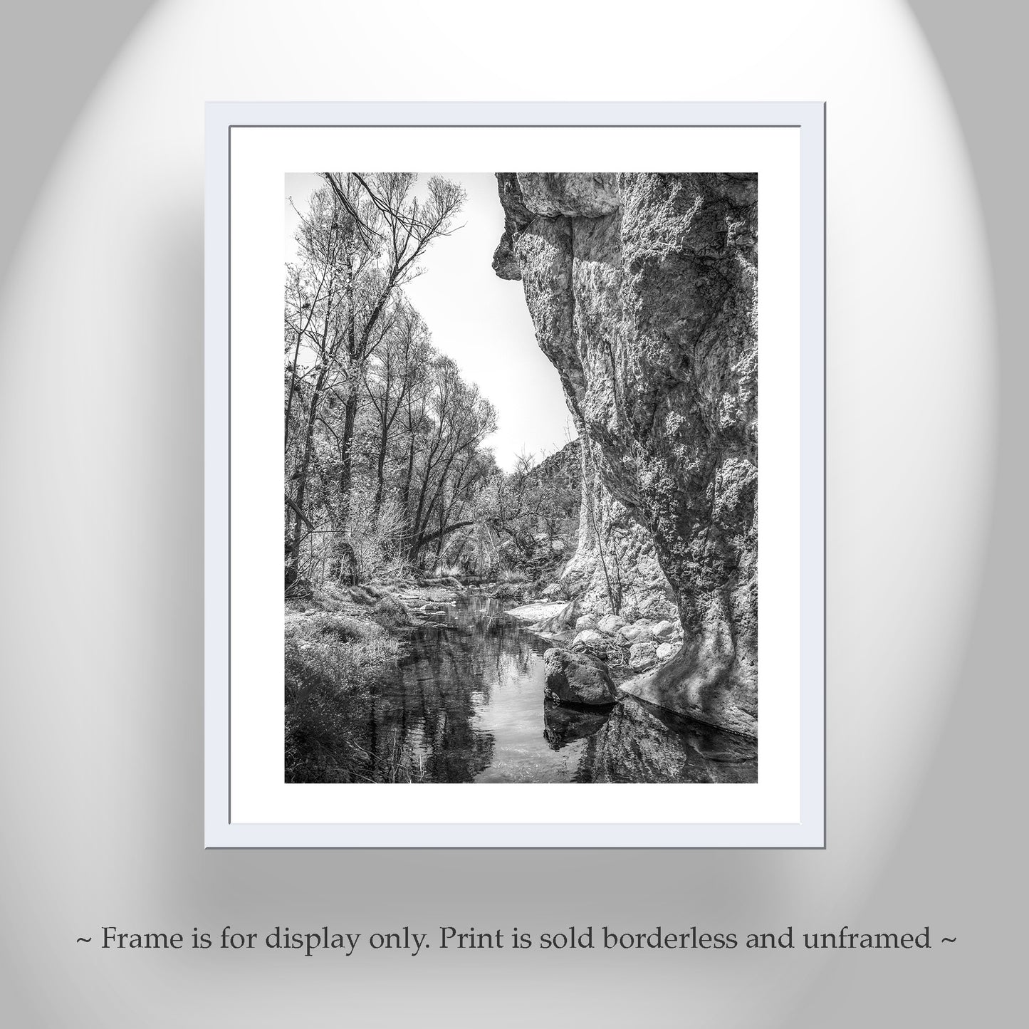 Western Canyon Creek Desert Oasis Black and White Art Print