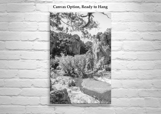 Black and White Tucson Desert Wilderness Canyon Art Print