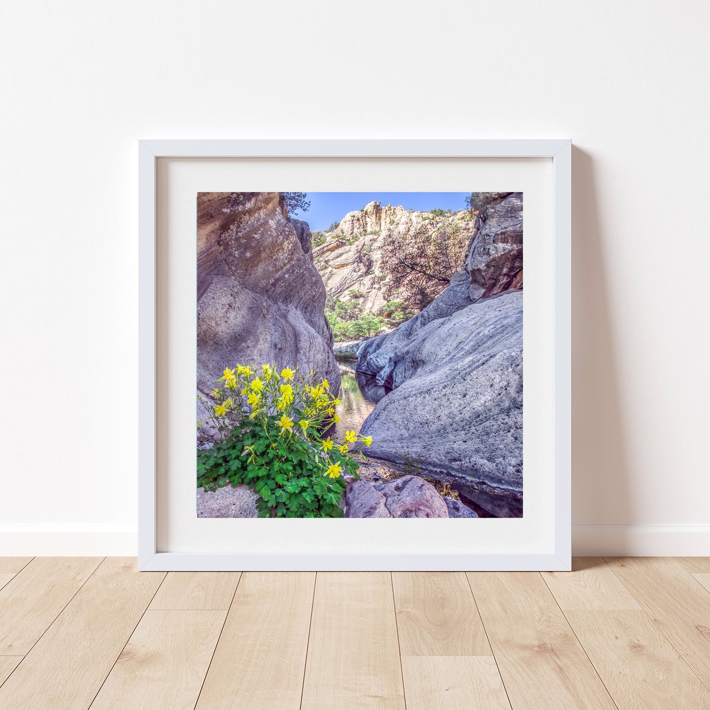 Arizona Desert Canyon Oasis Fine Art Photography Print