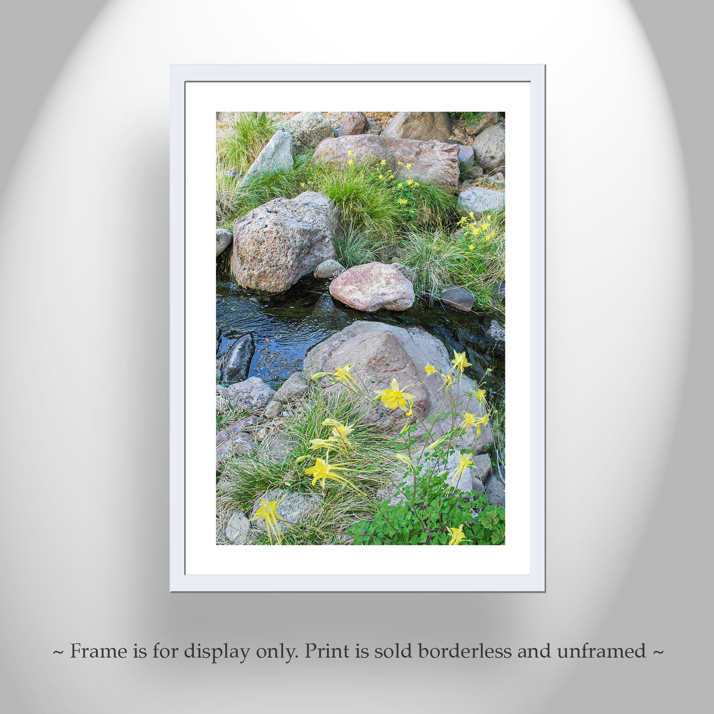 Wildflower Print in Desert Canyon Stream | Peaceful Nature Art
