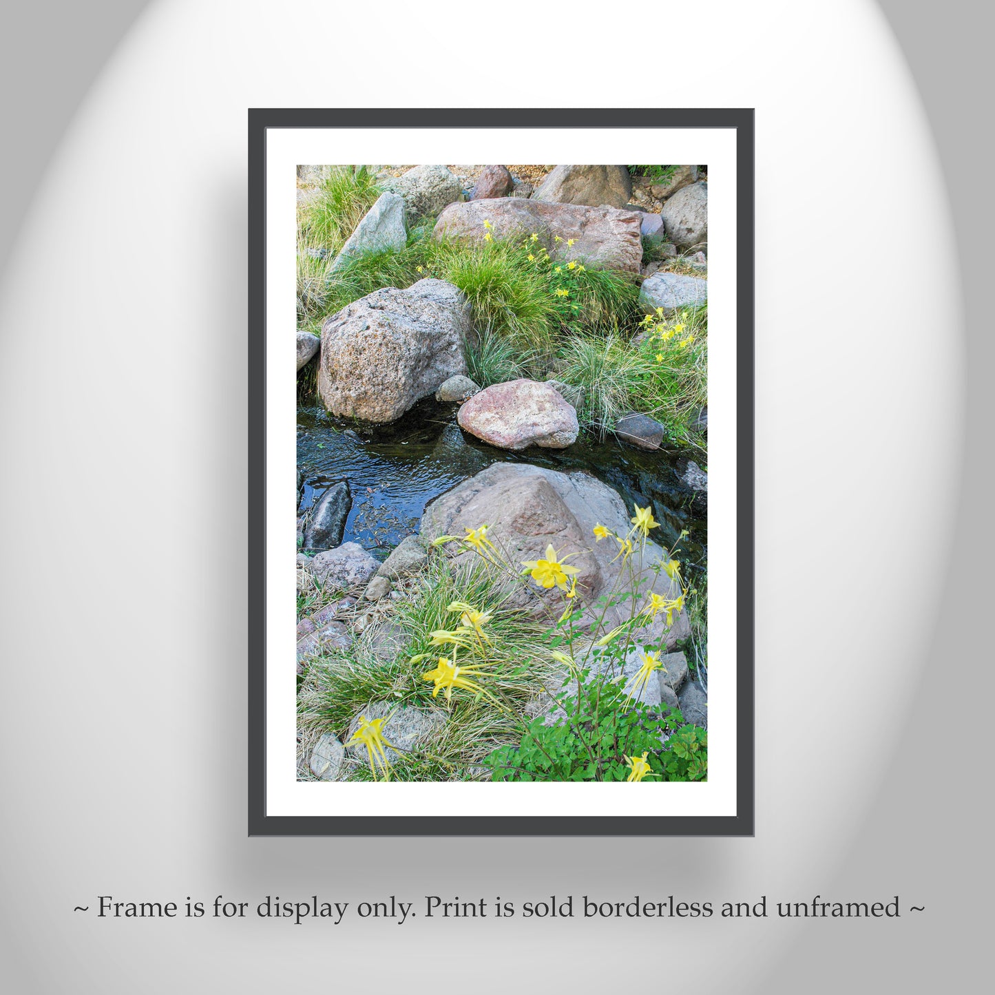 Wildflower Print in Desert Canyon Stream | Peaceful Nature Art