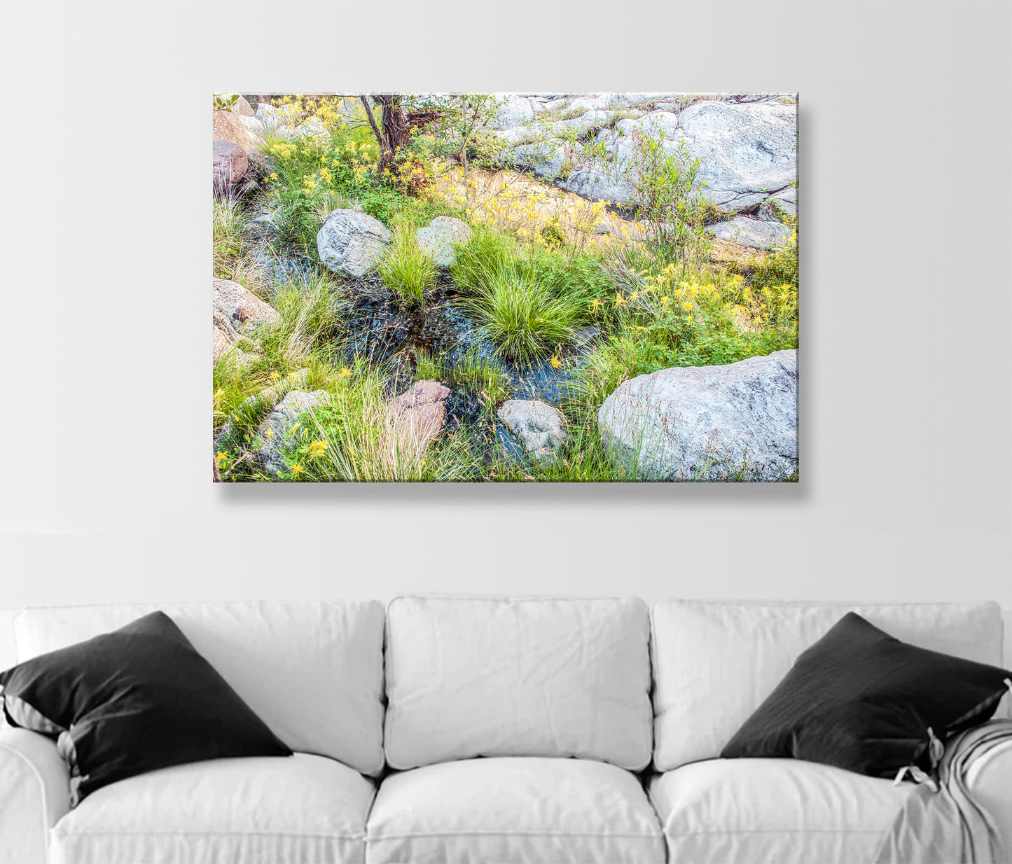Wildflower Photo Artwork in Arizona Desert Canyon Oasis
