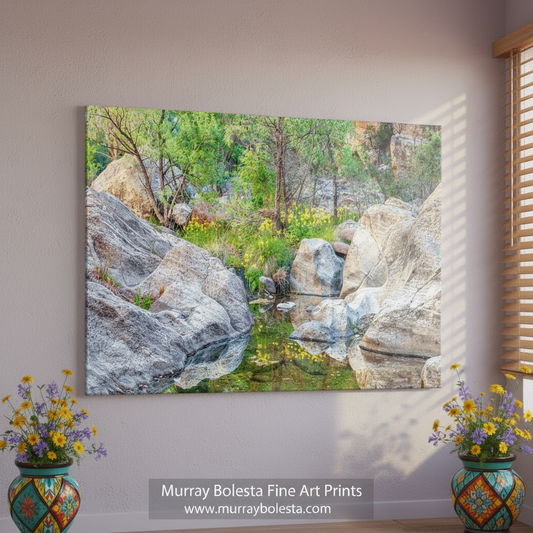 Desert Oasis Canyon Wildflowers | Fine Art Nature Print Tucson Arizona by Murray Bolesta