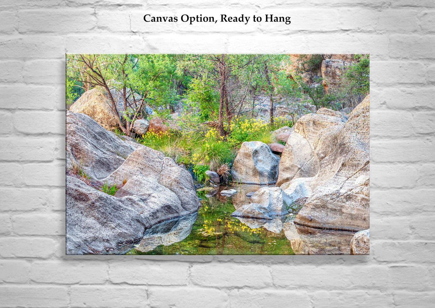 Desert Oasis Canyon Creek Wildflowers as Fine Art Nature Print
