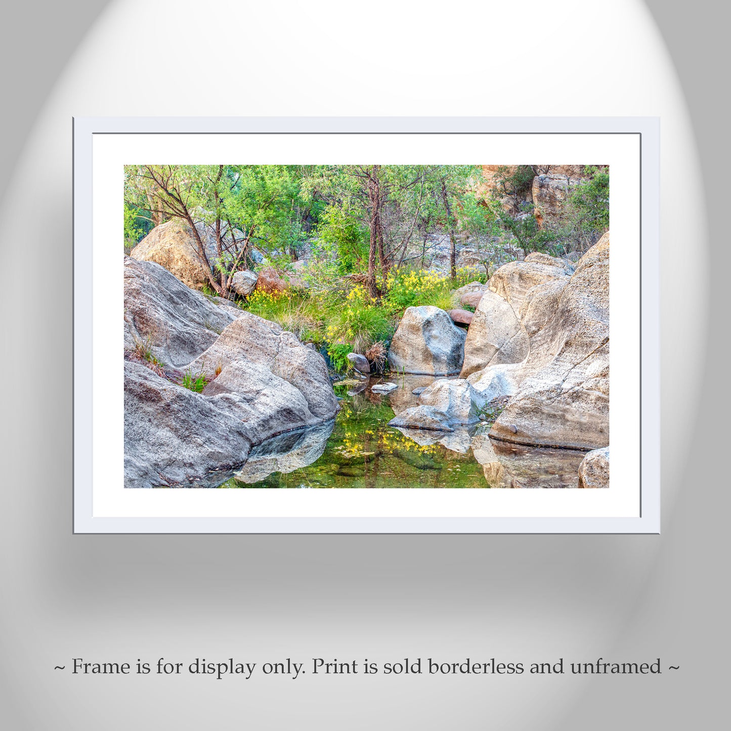 Desert Oasis Canyon Creek Wildflowers as Fine Art Nature Print