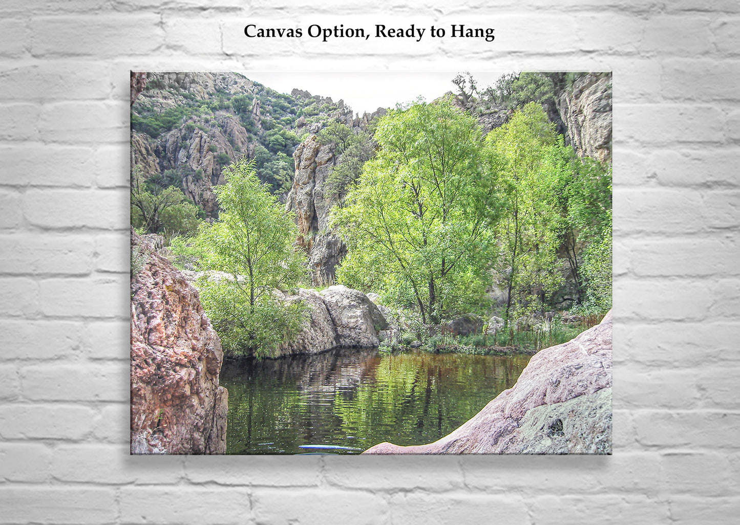 Southern Arizona Desert Canyon Oasis Landscape Wall Art Print