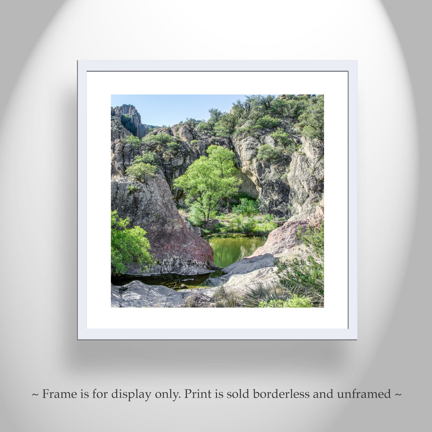 Mexico Border Arizona Desert Canyon Landscape Photo Art Print