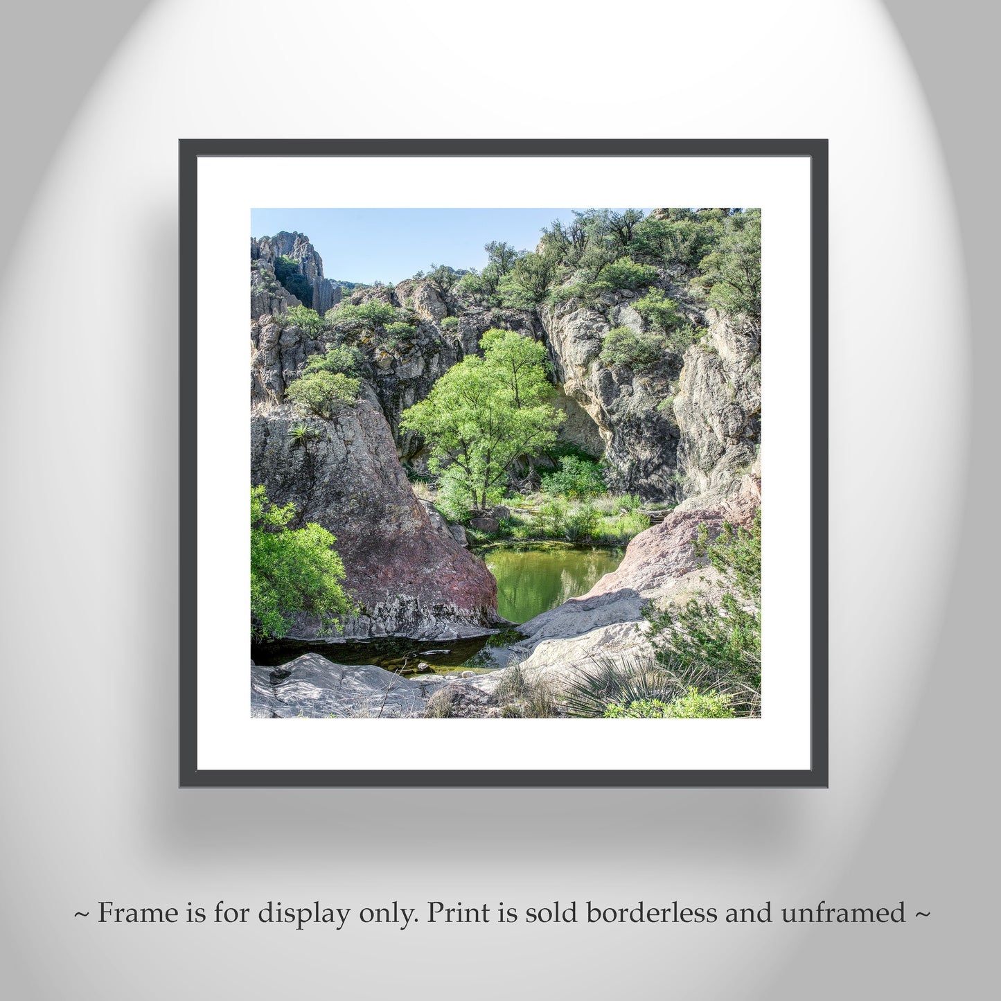 Mexico Border Arizona Desert Canyon Landscape Photo Art Print