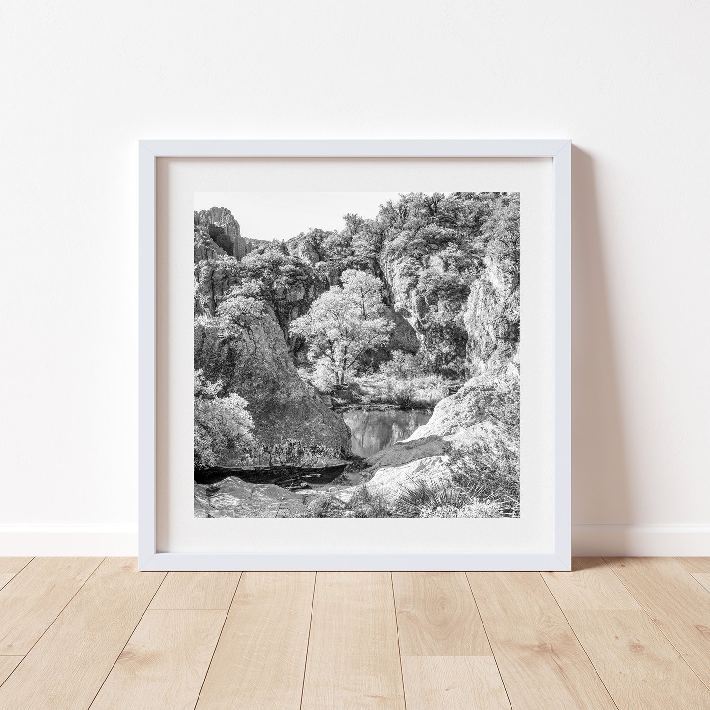 Mexico Border Canyon Arizona Artwork | Black and White Desert Print