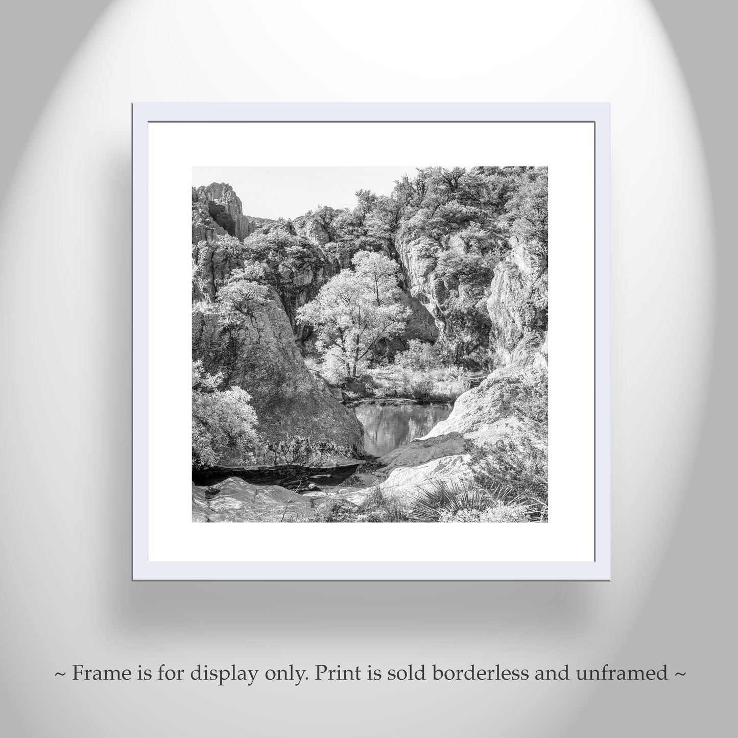 Mexico Border Canyon Arizona Artwork | Black and White Desert Print