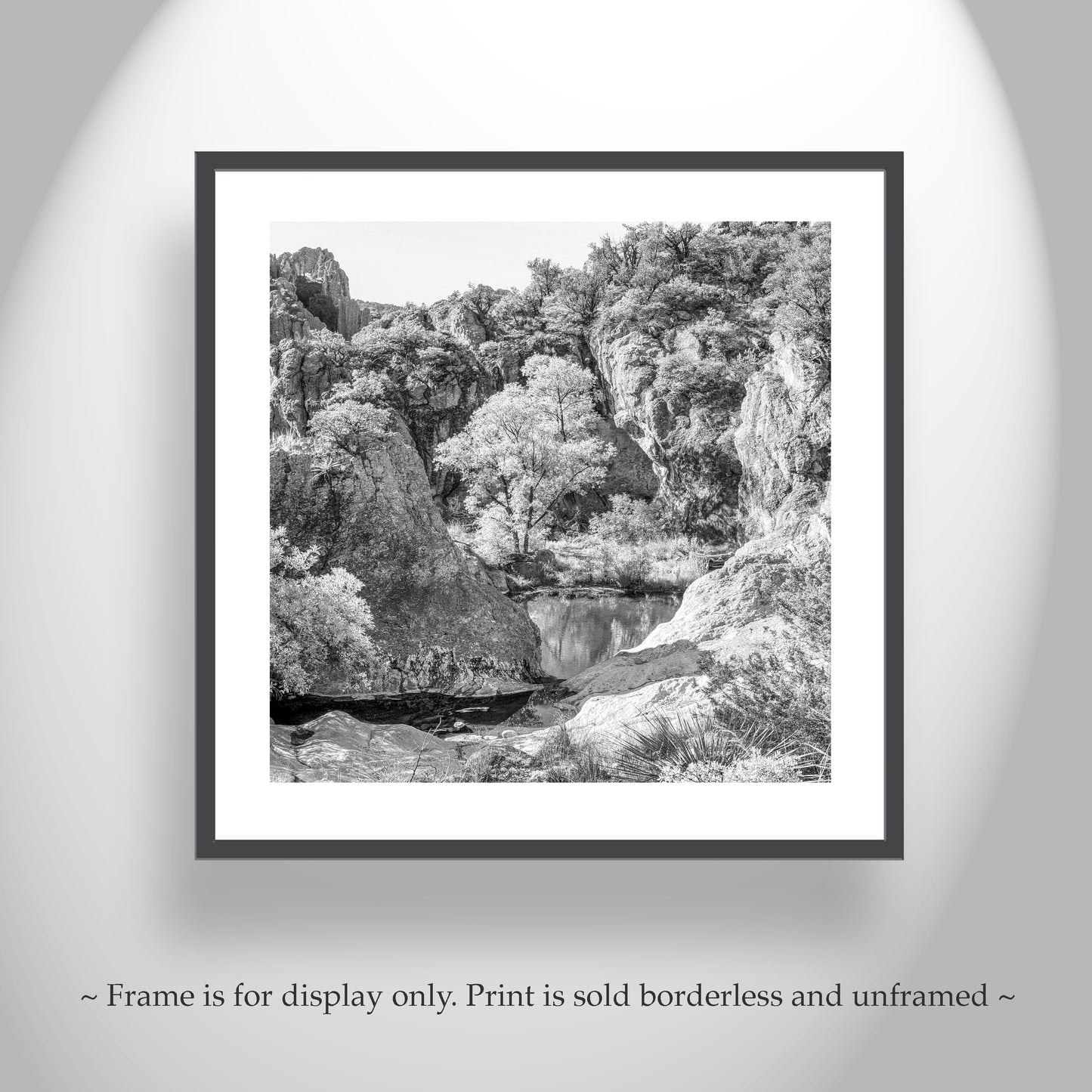 Mexico Border Canyon Arizona Artwork | Black and White Desert Print