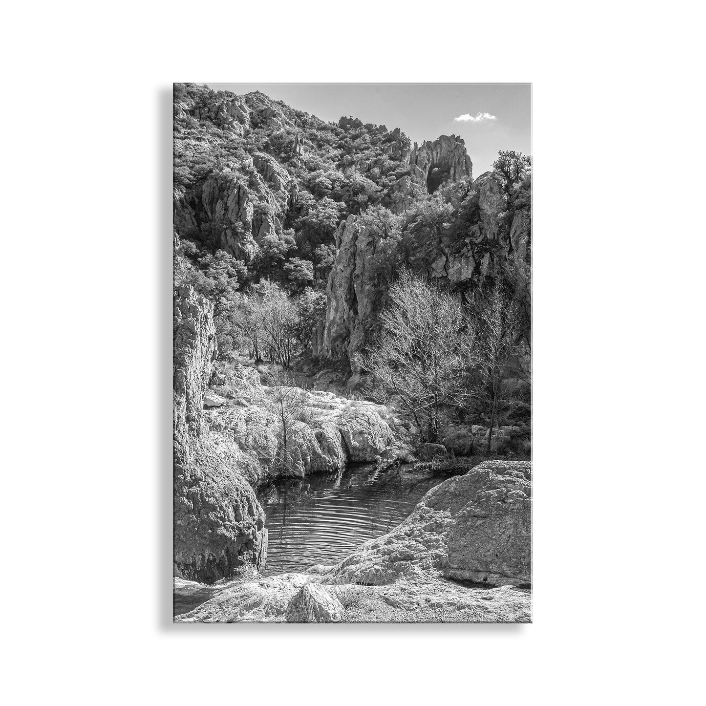 Black and White Arizona Wilderness Desert Canyon Landscape Art