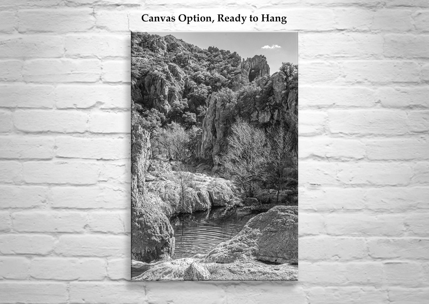 Black and White Arizona Wilderness Desert Canyon Landscape Art