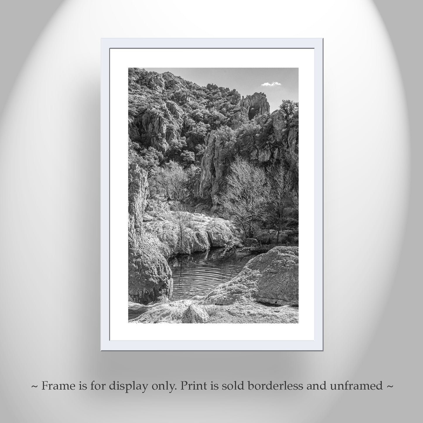 Black and White Arizona Wilderness Desert Canyon Landscape Art