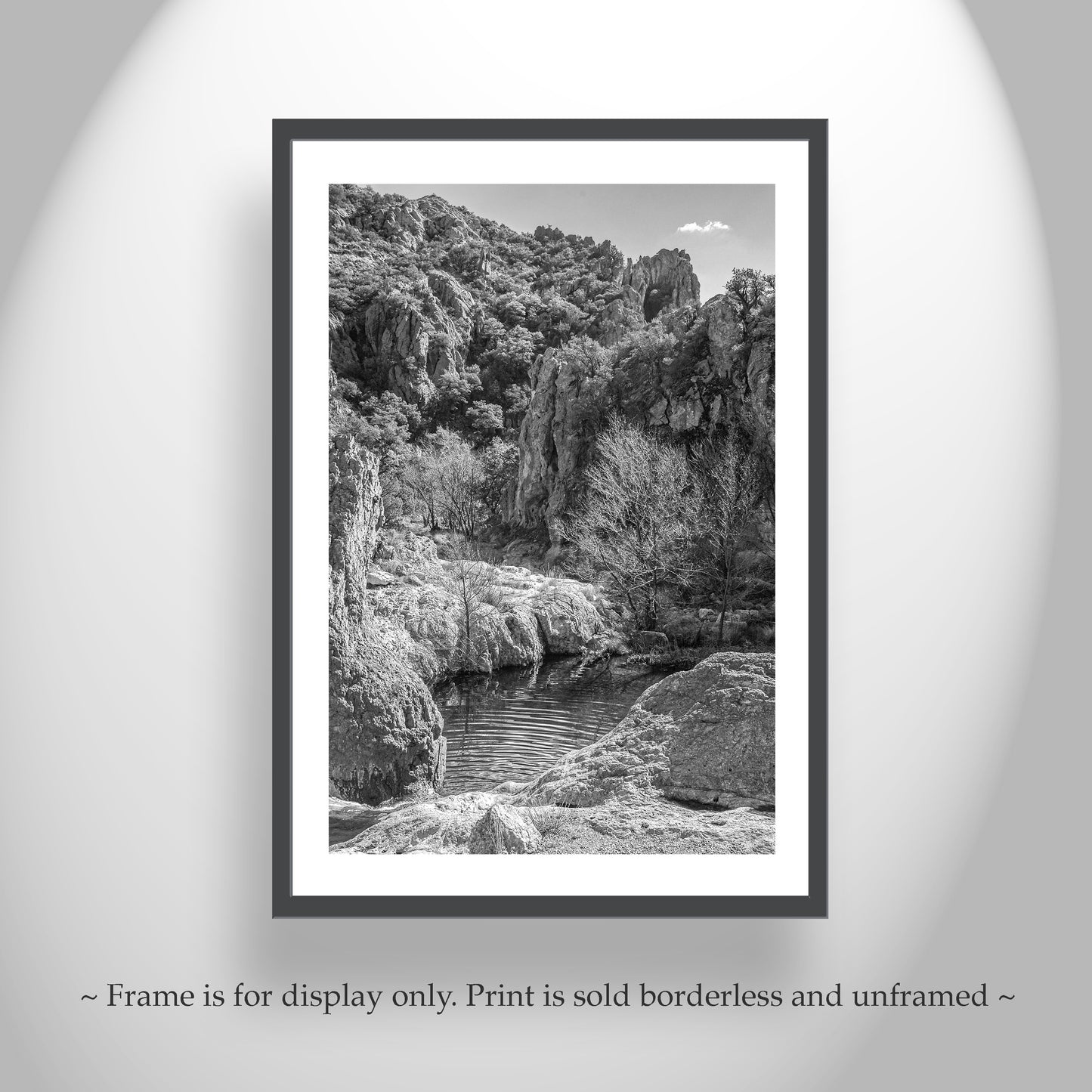 Black and White Arizona Wilderness Desert Canyon Landscape Art